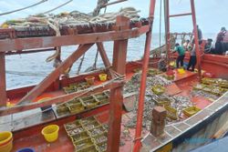 Curi Ikan di Perairan Natuna Utara, 2 Kapal Vietnam Ditangkap KP Hiu 11