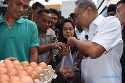 Pemerintah Gelar OP Telur Ayam di Jakarta, Distribusikan 25 Ton Telur Per Hari