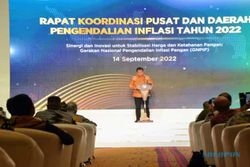 Airlangga: Perkuat Sinergi dari TPIP-TPID Kendalikan Capaian Inflasi Nasional