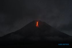 Gunung Merapi Luncurkan 3 Guguran Lava Selama Sepekan