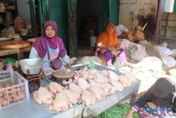 Dipengaruhi Harga Pakan, Harga Daging Ayam di Solo Sentuh Rp38.000/Kg