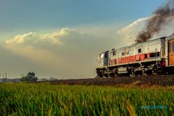 Terbagi Jadi 9 Daerah Operasi, Ini Deretan Jalur Kereta Api di Pulau Jawa