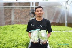 Cerita Markas Hydrofarm, Usaha Pertanian Hidroponik yang Dirintis Anak Muda