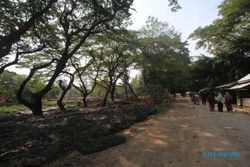 Mantap! Kebun Binatang TSTJ Solo Dilengkapi Kafe dengan View Singa dan Sabana