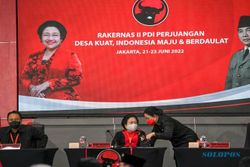Beda Sikap Megawati soal Manuver Dewan Kolonel Loyalis Puan Maharani