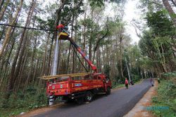 PLN Ikut Sukseskan Jambore Standupindo di Hutan Pinus Mangunan Yogyakarta