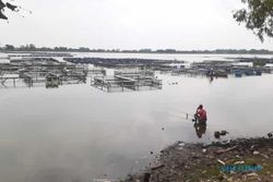 Harga Pakan Naik, Petani Waduk Mulur Sukoharjo Kurangi Produksi Ikan