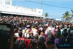 Kunjungan Kerja Kota Baubau: Ribuan Warga Rela Berdesakan Demi Lihat Presiden