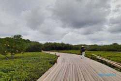Bee Jay Bakau Resort, Spot Wisata Instagrammable di Probolinggo