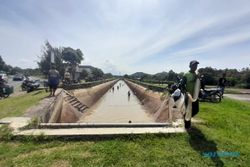 Dam Colo Dikeringkan, Warga Wonogiri Pesta Tangkap Ikan