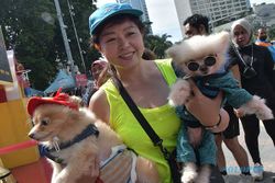 Larangan Bawa Hewan di CFD, Pecinta Anjing Gelar Aksi Protes ke Pemprov Jakarta
