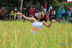 Festival Mbok Sri Mulih, Upaya Rawat Tradisi & Pertegas Asale Rajalele Delanggu