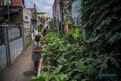 Program Saskia Gotik: Pemanfaatan Gang Sempit untuk Berkebun di Bandung