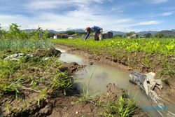 Cerita Petani Wonogiri Tetap Bertahan di Tengah Curah Hujan Tinggi