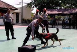 4 Anjing K-9 dari Soloraya Ambil Bagian dalam Pengamanan KTT G20 Bali