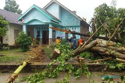 Angin Kencang Terjang 2 Desa di Karanganyar, Atap Pabrik Ini Porak Poranda