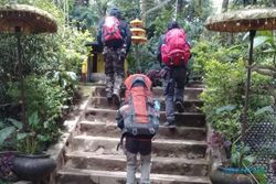 Jelang HUT Kemerdekaan, Jalur Pendakian Gunung Lawu via Cemoro Kandang Ramai
