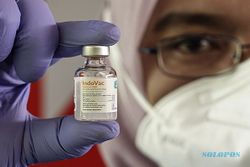 Jokowi Tinjau Penyuntikan Perdana Indovac, Vaksin Covid-19 Buatan Indonesia