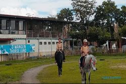 Wisata De Wangen Klaten, Surganya Para Pencinta Kuda