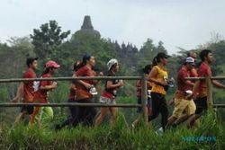 Laris Manis! Homestay di Borobudur Full Booked Jelang Borobudur Marathon