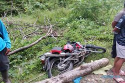 Tragis! Bonceng 2 Balita, Pengendara Motor di Semarang Meninggal Tertimpa Pohon