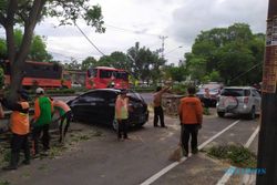 Angin Kencang, Pohon di Jl Kolonel Sutarto Jebres Solo Tumbang Timpa Mobil