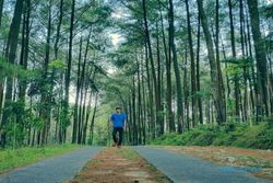 Hutan Pinus Bukit Suwondo Wonogiri, Lokasi Healing Murah Meriah di Akhir Pekan