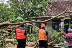 6 Rumah Rusak dan 7 Pohon Tumbang Akibat Angin Kencang di Sragen