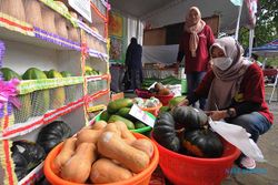 KTNA Agro Expo, Pamerkan Produk Unggulan Hasil Pertanian di Klaten