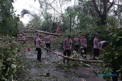 Angin Puting Beliung Sapu Pekalongan, Puluhan Rumah Rusak dan Pohon Tumbang