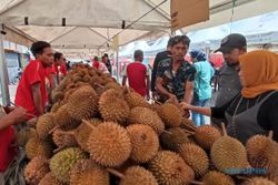Cita Rasa Khas Durian dari Karanganyar, Diklaim Terenak di Dunia
