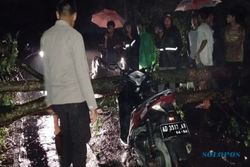 Terjadi Lagi Lur! Pohon Tumbang Timpa Pemotor di Klaten saat Hujan Deras