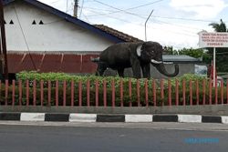 Patung Gajah di Jalan Sraten-Muncul Semarang, Berkaitan Berdirinya Desa Sraten