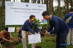 Peringati Hari Menanam Pohon 2022, PLN Tanam 19.000 Pohon di Sejumlah Wilayah