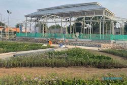 Agenda Solo Hari Ini: Gibran Cek Pembangunan Taman Pracima Tuin Mangkunegaran