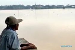 Bengawan Solo Meluap, Ratusan Hektare Sawah di Sragen Tergenang Air
