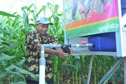 Kenalkan Teknologi Pertanian, Syngenta Bantu Petani Jagung Tingkatkan Produksi