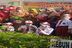 Keren, Urban Farming Masuk Kurikulum Belajar Siswa di Semarang