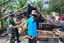 Pohon Tumbang Melintang di Jalan Jatinom-Karanganom Klaten, Tak Ada Korban Jiwa