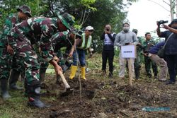 10.000 Pohon Ditanam di 4 Wilayah di Bantaran Bengawan Solo, Termasuk Klaten
