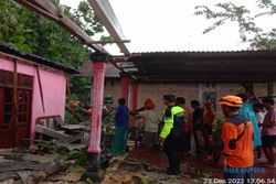Hujan dan Angin Terjang Sragen, 6 Pohon Tumbang, 1 Rumah Tertimpa Pohon