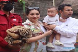 Dilirik Raffi Ahmad untuk Investasi, Ini Harga Tiket Masuk Semarang Zoo