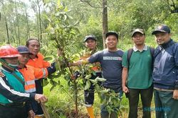 Perhutani & Forkom PKSDM Tanam 1.600 Bibit Pohon di Bukit Mongkrang Tawangmangu