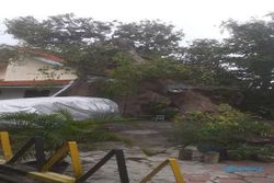 Angin Kencang Melanda, Belasan Pohon di Semarang Tumbang dalam Sehari