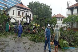 Pohon Berusia 100 Tahun di Lawang Sewu Semarang Tumbang, 2 Orang Jadi Korban