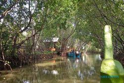 Menyusuri Pulau Tirang, Tempat Wisata di Semarang yang Hilang Terkikis Abrasi