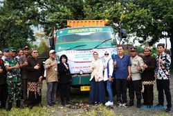 Jos! Petani di Jawa Timur Ekspor Daun Talas ke Amerika Serikat