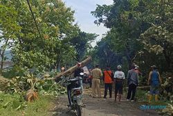 Penampakan Pohon Tumbang & Rumah Rusak Dampak Angin Kencang di Sukoharjo