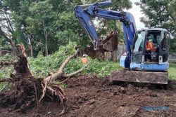 Pohon di Eks Hutan Kota Karanganyar Mulai Dipindah