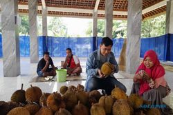 Pengunjung Serbu Festival 1.000 Durian Simo Boyolali, 1.151 Buah Ludes Terjual